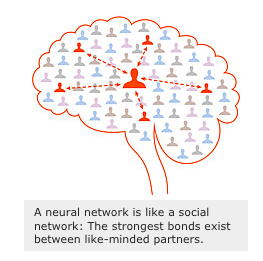 The brain’s social network